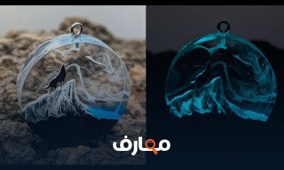 طريقة وضع الصور داخل الريزن للمبتدئين