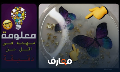 صنع كوستر الريزن بأمواج البحر للمبتدئين