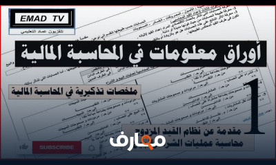 كيفية تصحيح أخطاء الدفاتر المحاسبية بفعالية