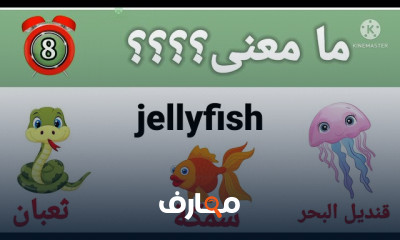 اختبار مفردات اللغة الإنجليزية للطلاب والمحترفين