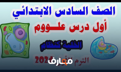 علوم لسادسة ابتدائي المنهج الجديد الترم الأول 2024
