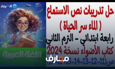 القواعد النحوية والإملائية لرابعة ابتدائي الترم2 2024