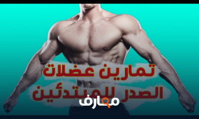 تمارين عضلات الظهر في الجيم للمبتدئين