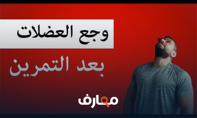 تمارين بناء العضل وحرق الدهون للمبتدئين