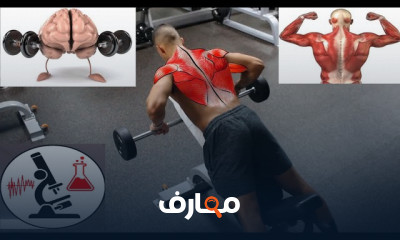 تمارين الظهر بالجيم