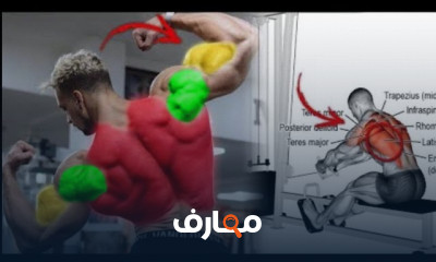 تمارين السحب والدفع