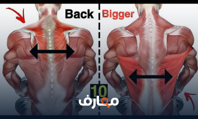 تمارين تعريض الظهر