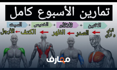 تمارين الذراع بالبيت