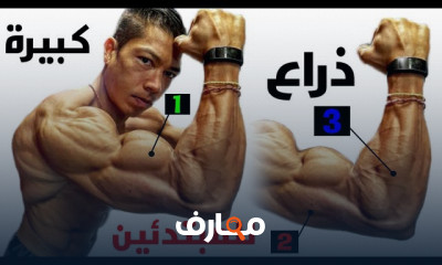 تمرين عضلات الصدر