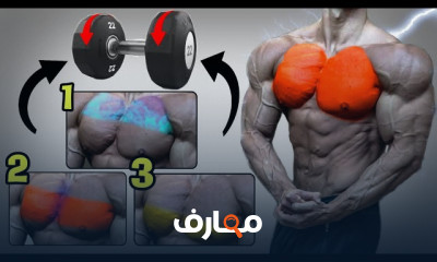 تمارين عضلة الأرجل