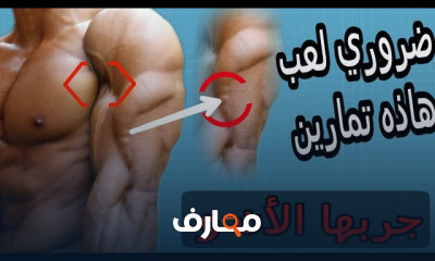 تمرين عضلة ترايسبس