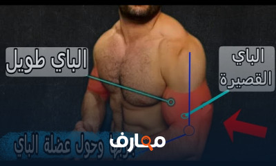 تضخيم عضلة البايسبس