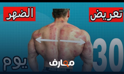 تمارين لعضلة الظهر