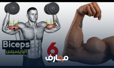 تمارين البايسبس