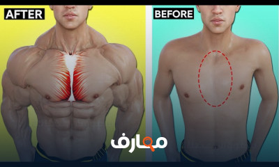 تضخيم الصدر السفلي