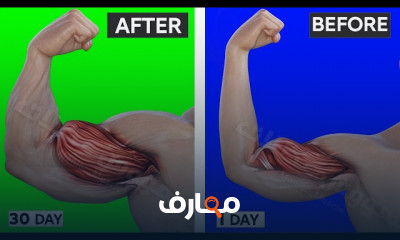 تمرين تضخيم البايسبس