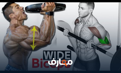توسيع عضلات البايسبس