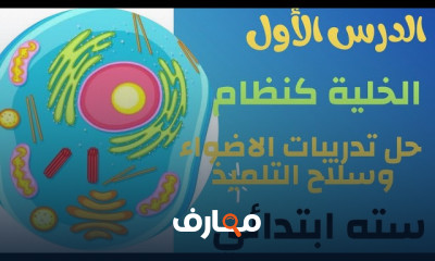 علوم لسادسة الترم الأول 2025
