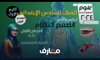 الجهاز الهضمي علوم 6 ابتدائى