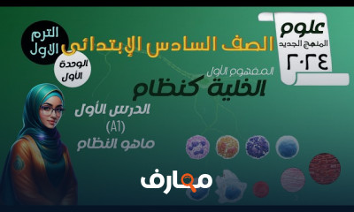 سادسة إبتدائى علوم الترم1 ٢٠٢٤