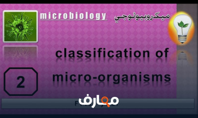 علم الأحياء الدقيقة