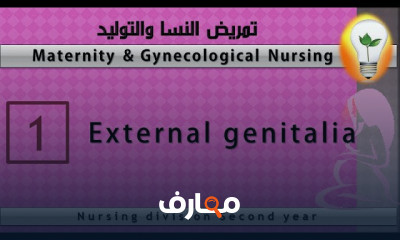 تمريض النسا والتوليد بالتشخيص