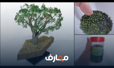 صناعة مجسمات طوفان الأقصى