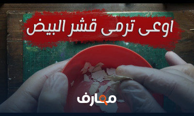 إعادة تدوير نشارة الخشب