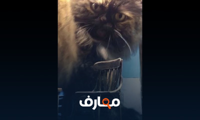 طريقة صنع لوحة كانفاس للرسم