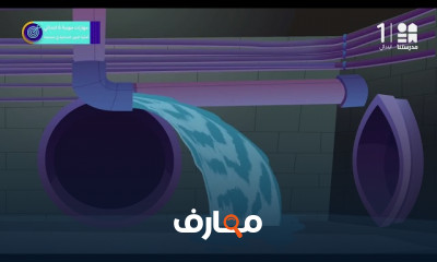 المهارات المهنية سادسة ابتدائي