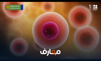 علوم لغات لسادسة ابتدائي الترم1