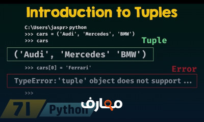 أساسيات Tuples في Python