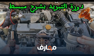 أجزاء السيارة الأساسية