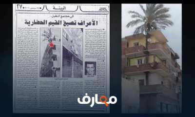 مادة النقد المعمارى