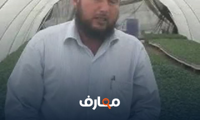 دراسة جدوى زراعة الباذنجان
