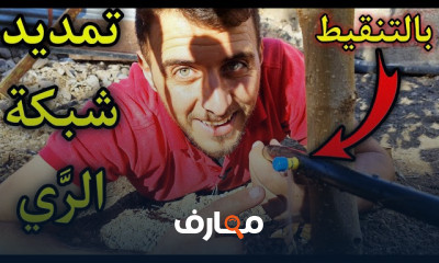 إنشاء شبكة الرى بالتنقيط