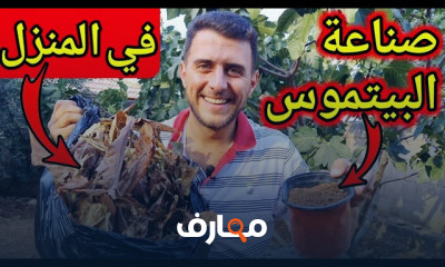 صناعة البيتموس في المنزل
