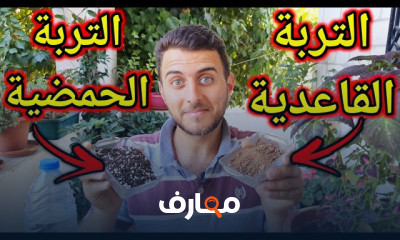 علاج ملوحة التربة الزراعية