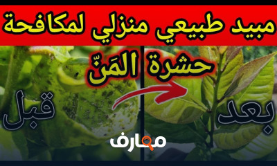 صناعة المبيدات الطبيعية بالمنزل