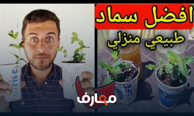 صناعة الأسمدة الطبيعية العضوية