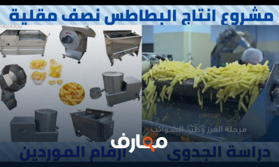 خط انتاج بطاطس نصف مقلية