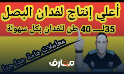 البصل من الزراعة حتي الحصاد