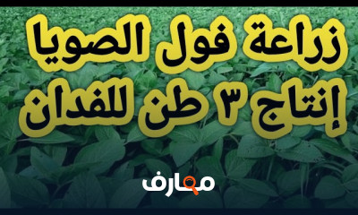 زراعة فول الصويا