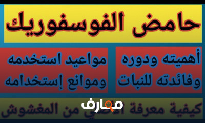 طريقة تسميد النباتات