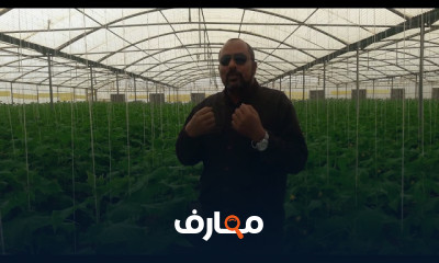 أمراض الخيار وكيفية مكافحتها