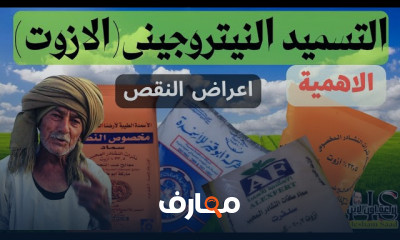 التسميد النيتروجيني