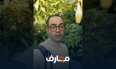 زراعة البطاطس فى المنزل