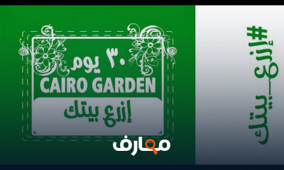 أساسيات الزراعة المنزلية
