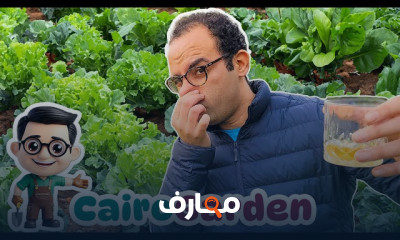 التربة والتسميد للزراعة بالمنزل