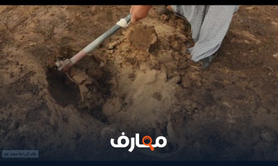 علاج النيماتودا